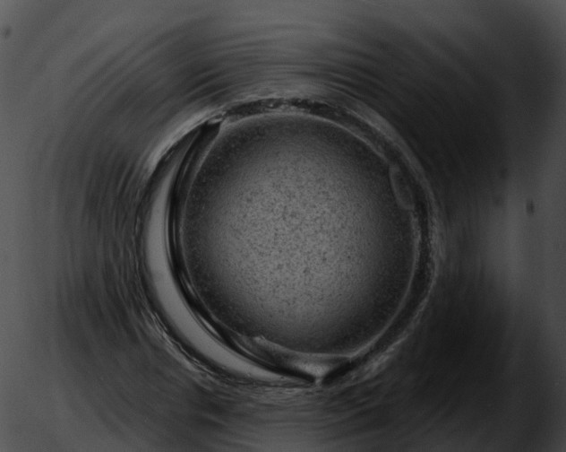 X0000051890826200507020053