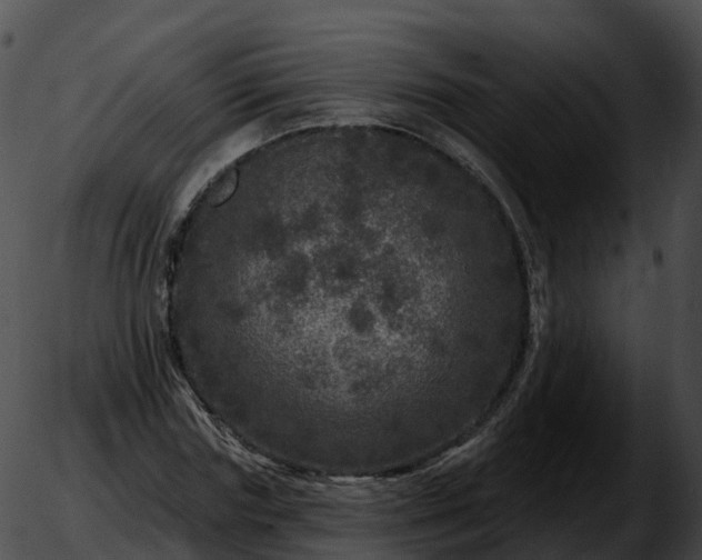 X0000051890827200507020053