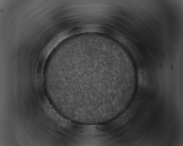 X0000051890828200507020053