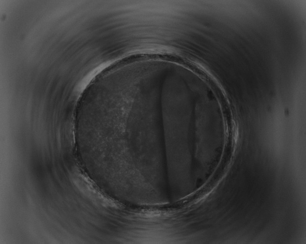 X0000051890829200507020053