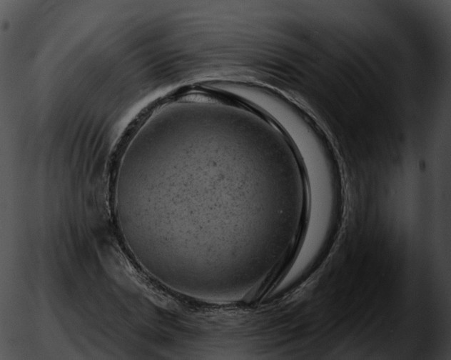 X0000051890830200507020053