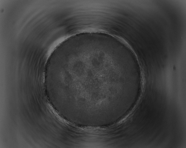 X0000051890831200507020054