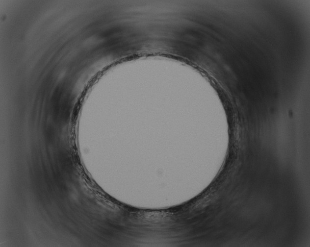 X0000051890832200507020054