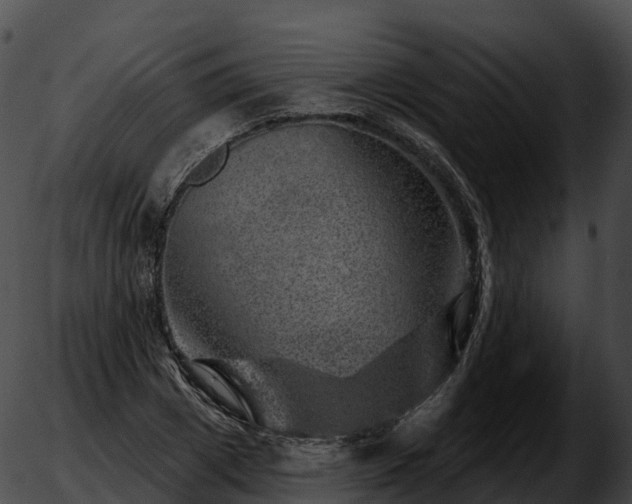 X0000051890833200507020054