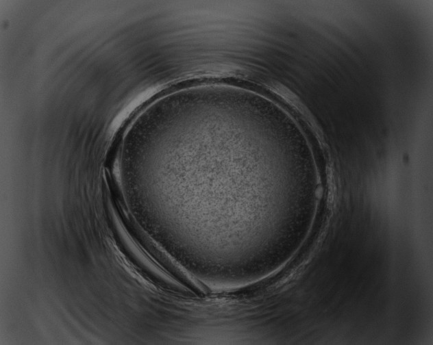 X0000051890834200507020054