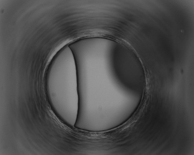 X0000051890835200507020054