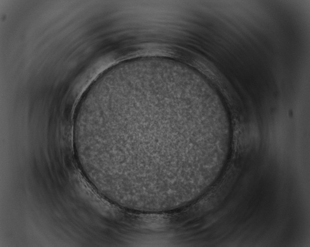 X0000051890836200507020054