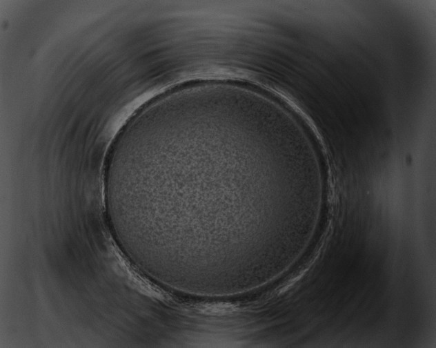 X0000051890837200507020054