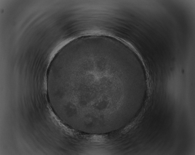 X0000051890839200507020054