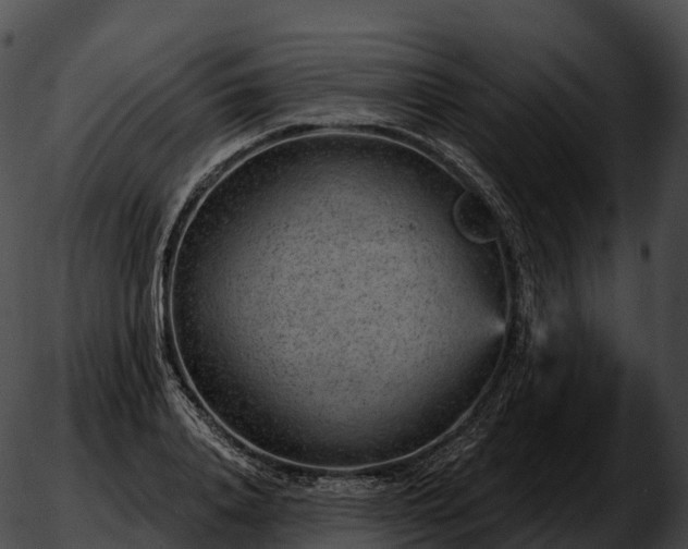 X0000051890840200507020054