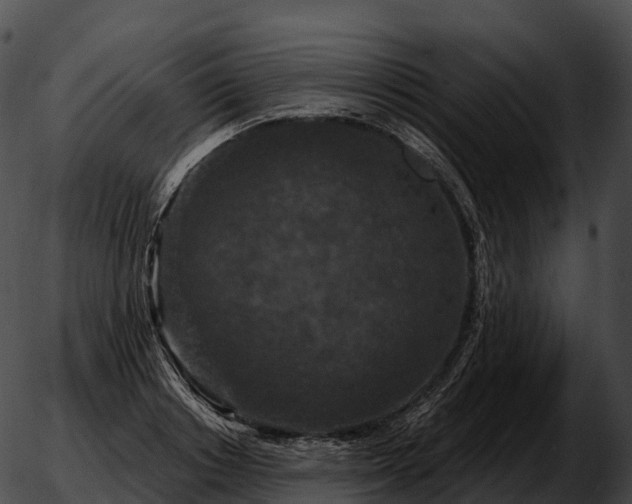 X0000051890842200507020054