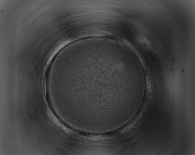 X0000051890843200507020054