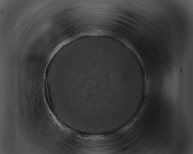 X0000051890845200507020054