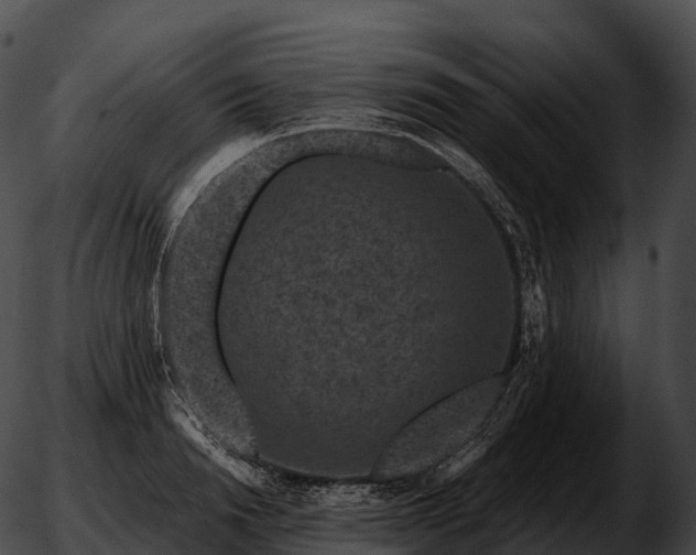 X0000051890846200507020054