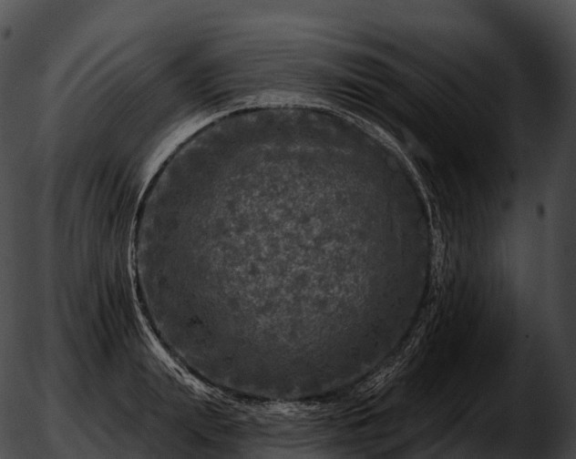 X0000051890847200507020054