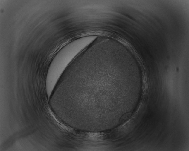 X0000051890849200507020054