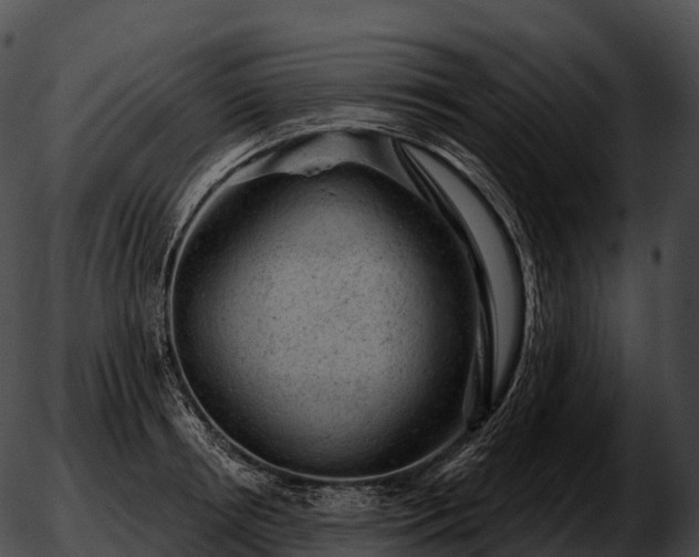 X0000051890850200507020054