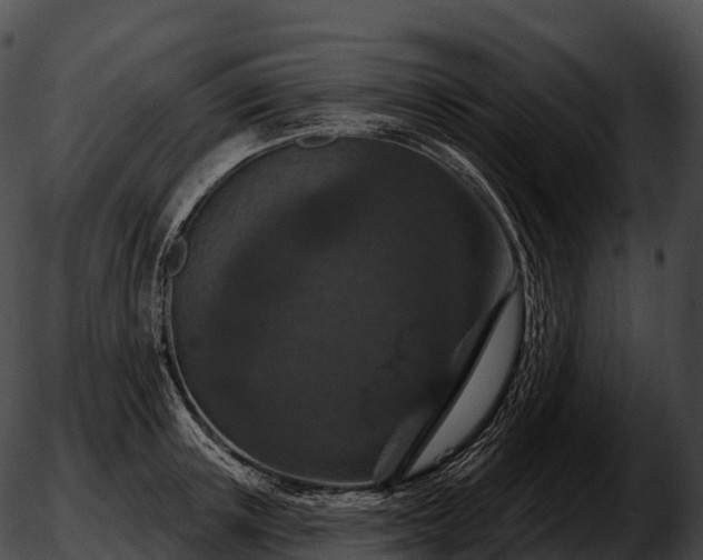 X0000051890851200507020054