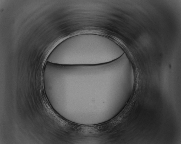 X0000051890852200507020054