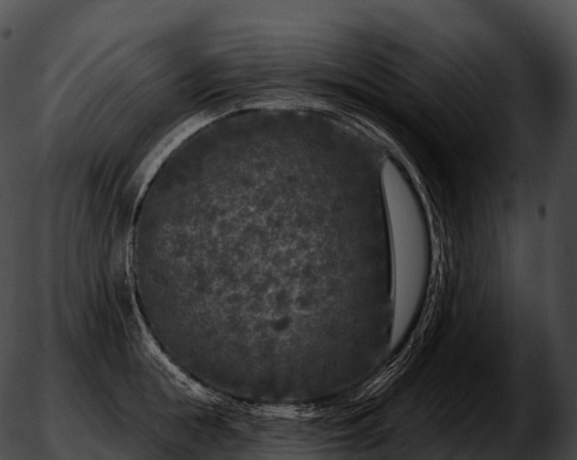 X0000051890855200507020054