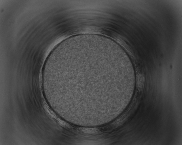 X0000051890856200507020054