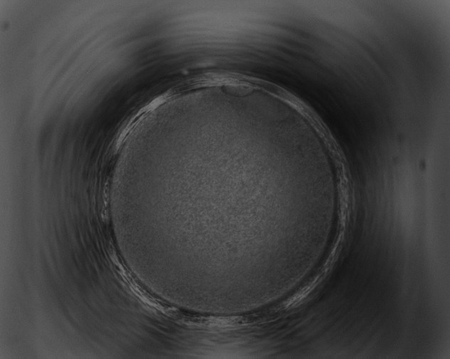 X0000051890857200507020054