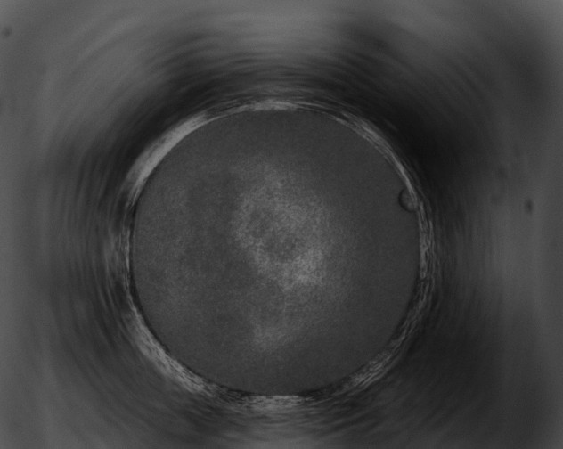 X0000051890859200507020054