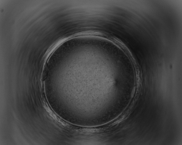 X0000051890860200507020054