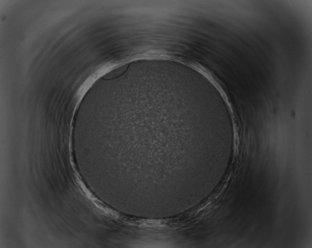 X0000051890861200507020054