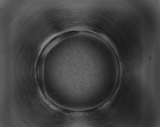 X0000051890862200507020054