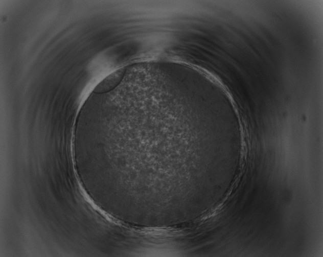 X0000051890863200507020054