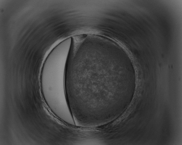 X0000051890864200507020054