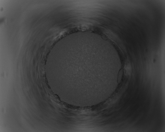 X0000051890865200507020053