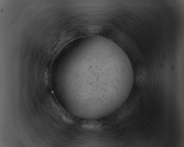 X0000051890866200507020053