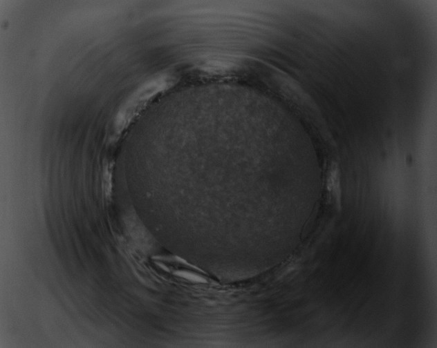 X0000051890868200507020053