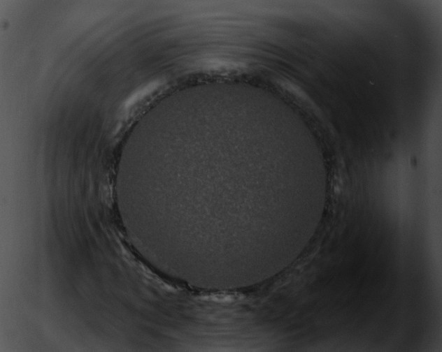 X0000051890869200507020053