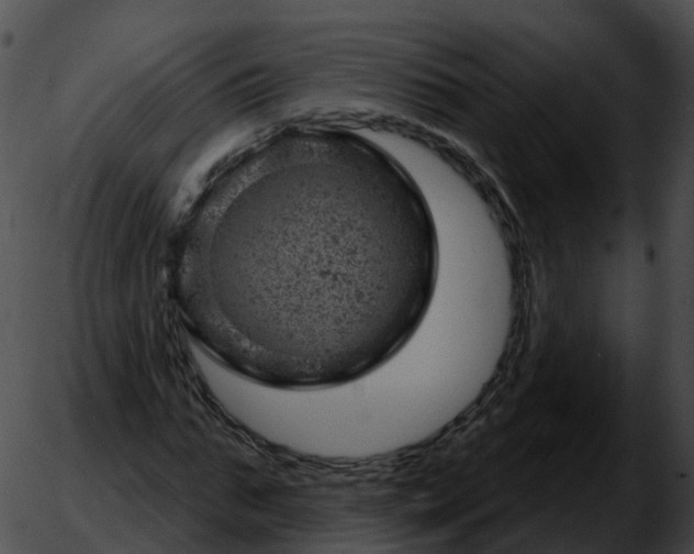 X0000051890871200507020053