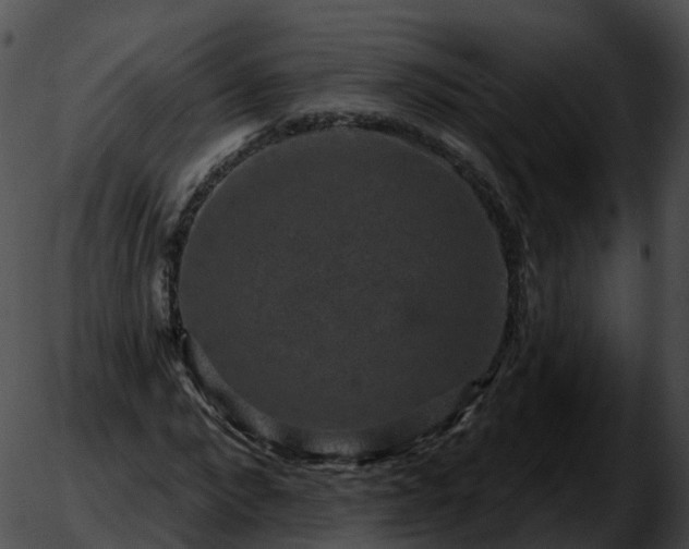 X0000051890872200507020053