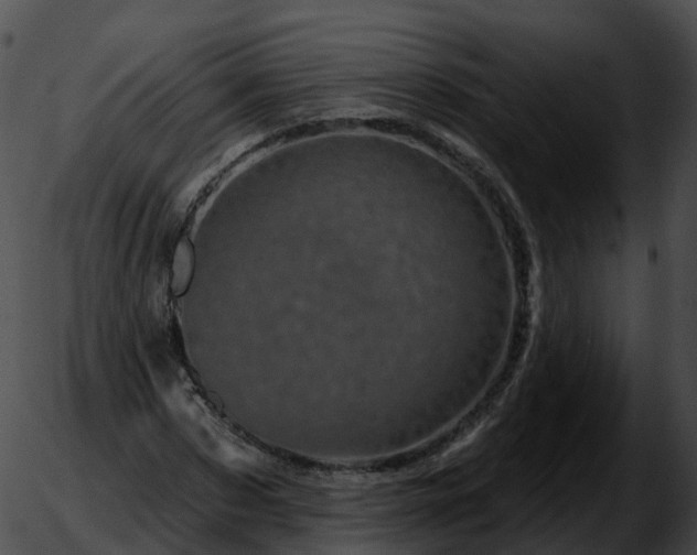 X0000051890873200507020053