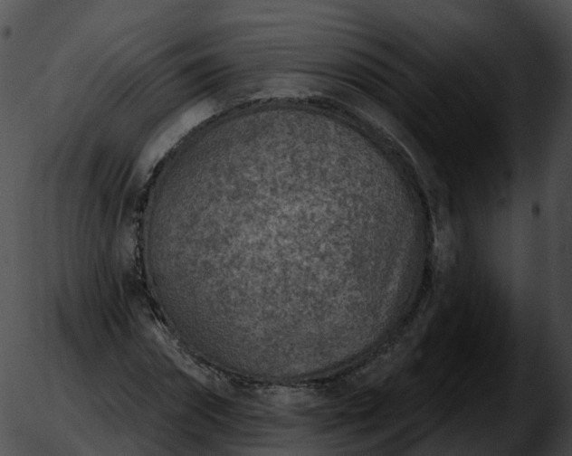 X0000051890874200507020053