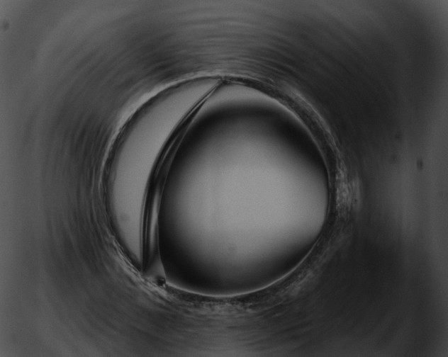 X0000051890876200507020053