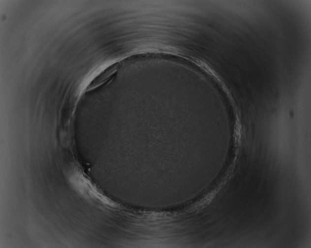 X0000051890877200507020053