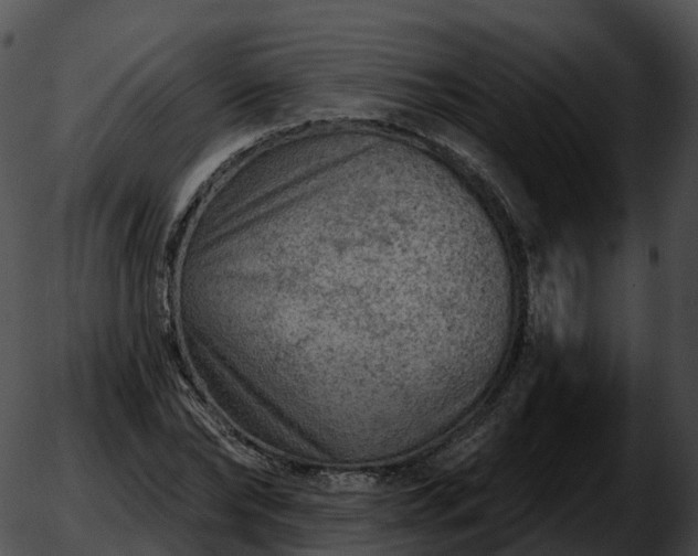 X0000051890878200507020053