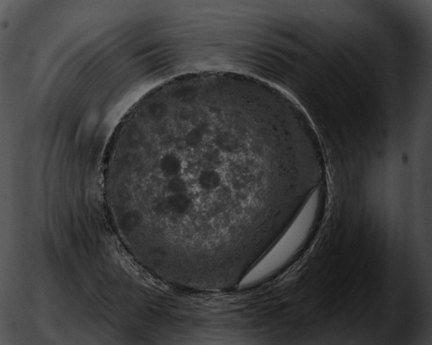 X0000051890879200507020053