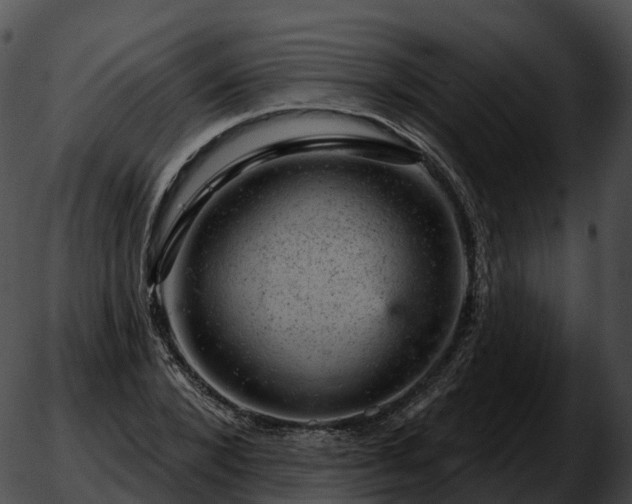 X0000051890880200507020053