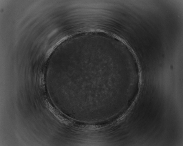 X0000051890881200507020053