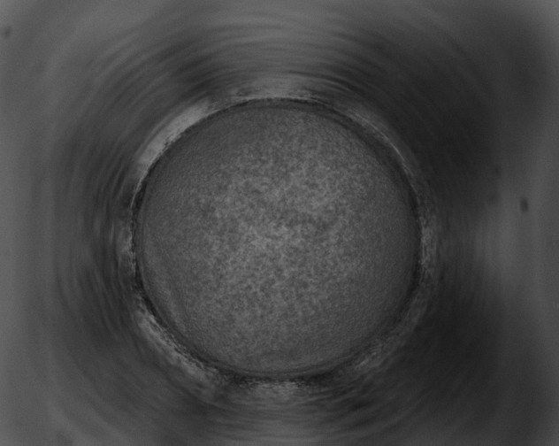 X0000051890882200507020053