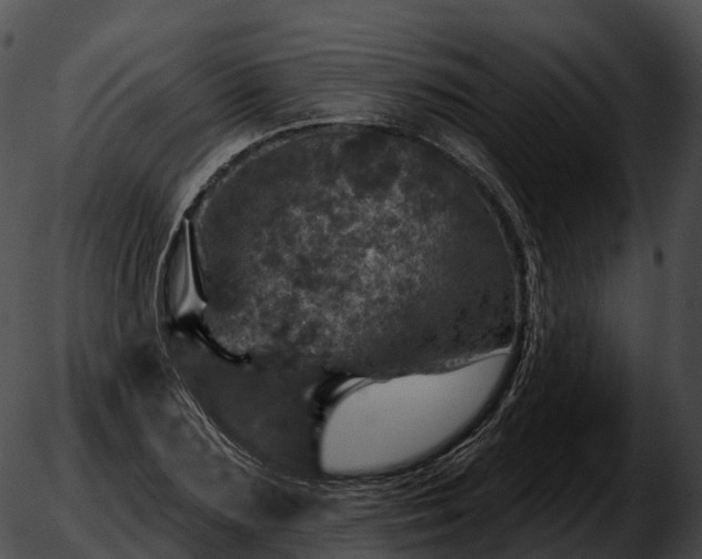 X0000051890883200507020053