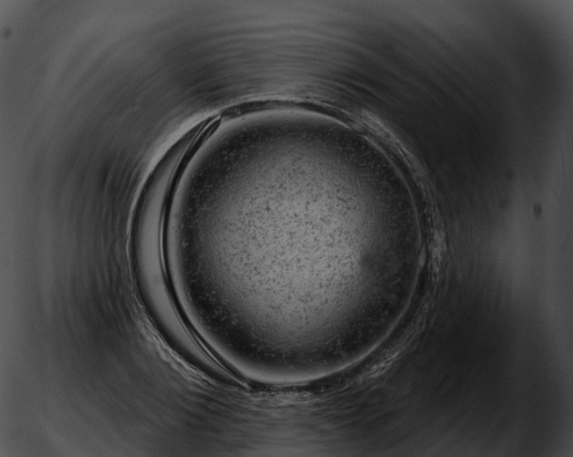 X0000051890884200507020053