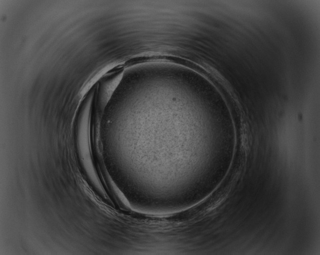 X0000051890885200507020053